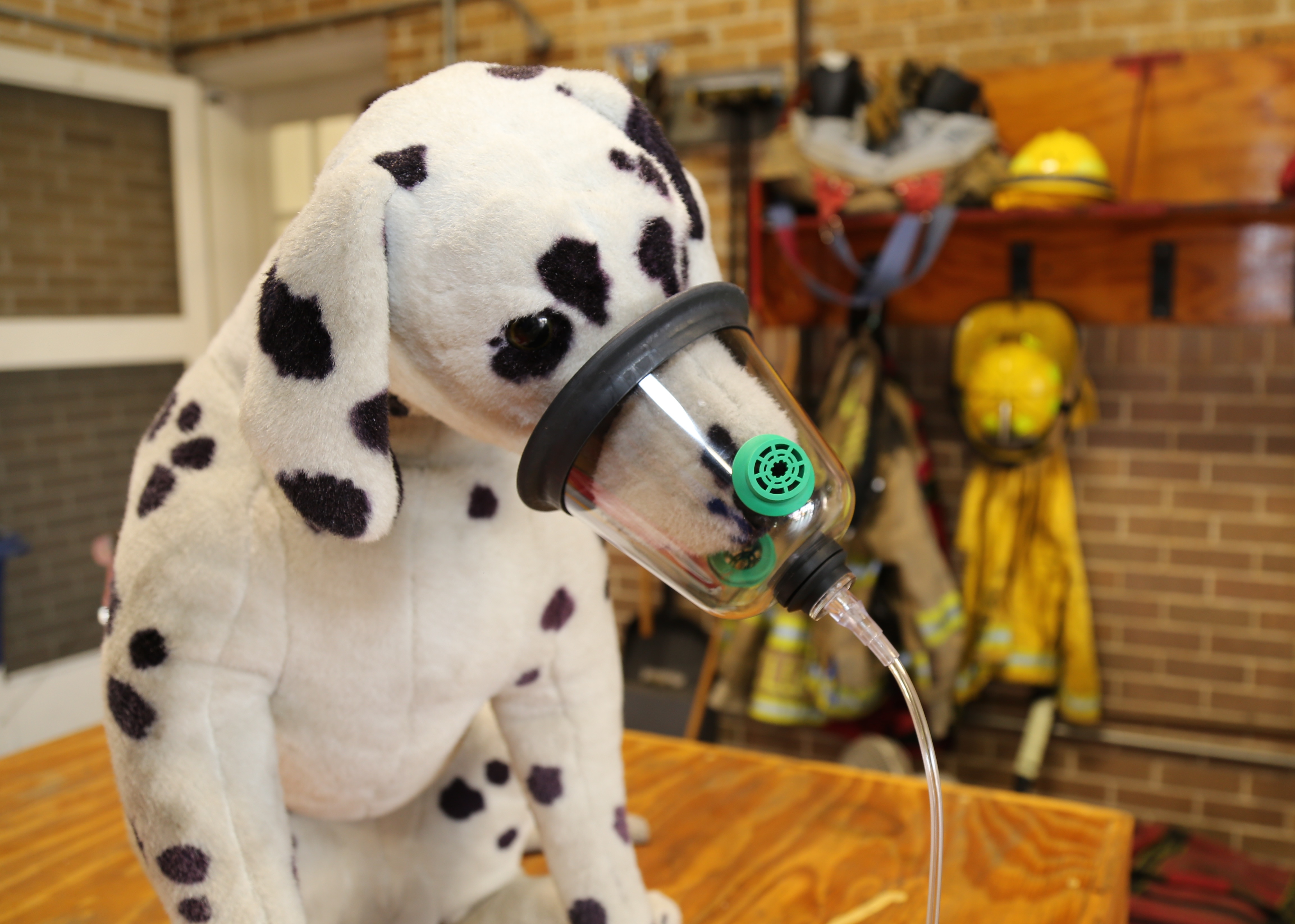 AFD Receives 5,000 to Buy New Pet Oxygen Mask Kits through Auxilary